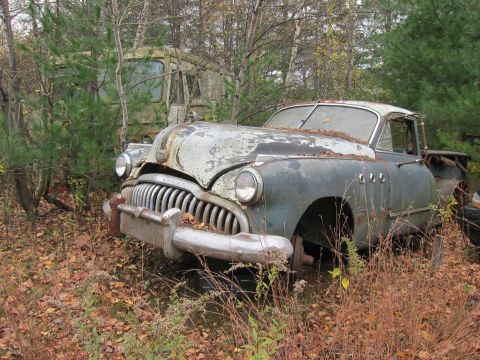 1991 Ford LTD Crown Victoria - An abandoned vintage car sits in a junkyard, partially obscured by foliage and other decaying vehicles.