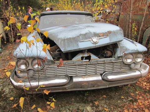 1991 Ford LTD Crown Victoria - A weathered, light blue car sits abandoned in a junkyard, surrounded by autumn foliage and other decaying vehicles.