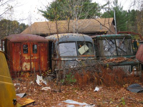 1991 Ford LTD Crown Victoria - A collection of old, rusted trucks sit abandoned in a junkyard, overgrown with weeds and trees.