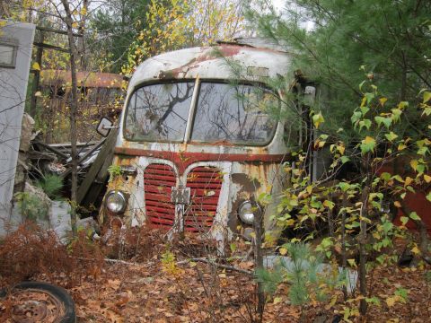 1991 Ford LTD Crown Victoria - An abandoned bus sits in a wooded area, overgrown with vegetation and showing significant rust.