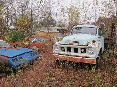 1991 Ford LTD Crown Victoria - A light blue truck sits in a junkyard surrounded by other vehicles and overgrown vegetation.