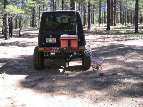 1987 Suzuki Samurai - A Suzuki Samurai is parked in a wooded area with a small dog standing next to it.