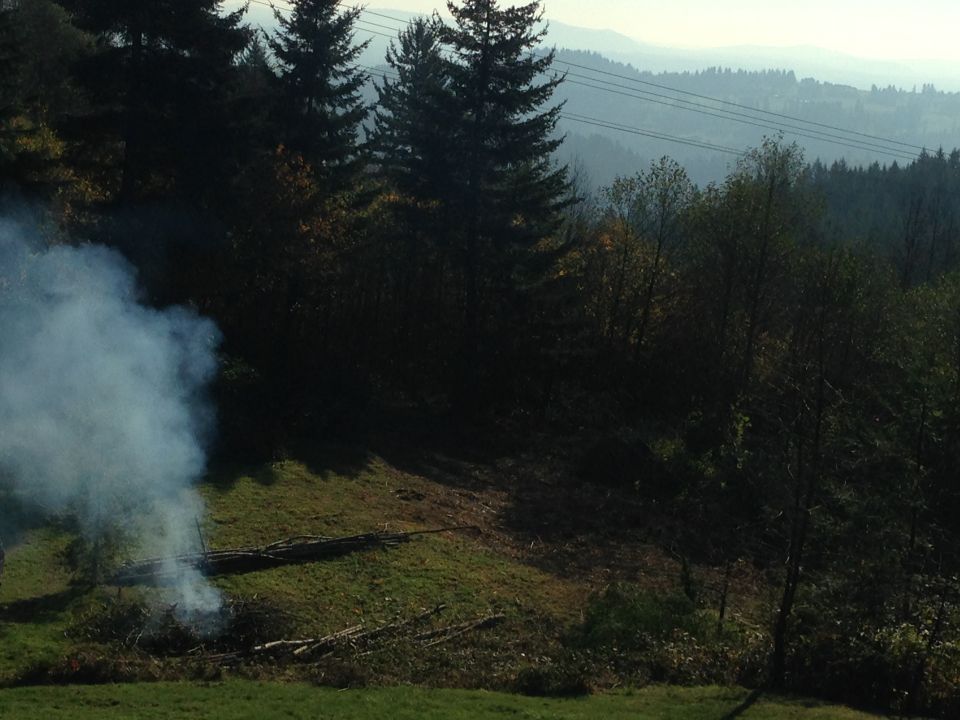 Smoke rising from a brush pile on a hillside with trees and distant hills.