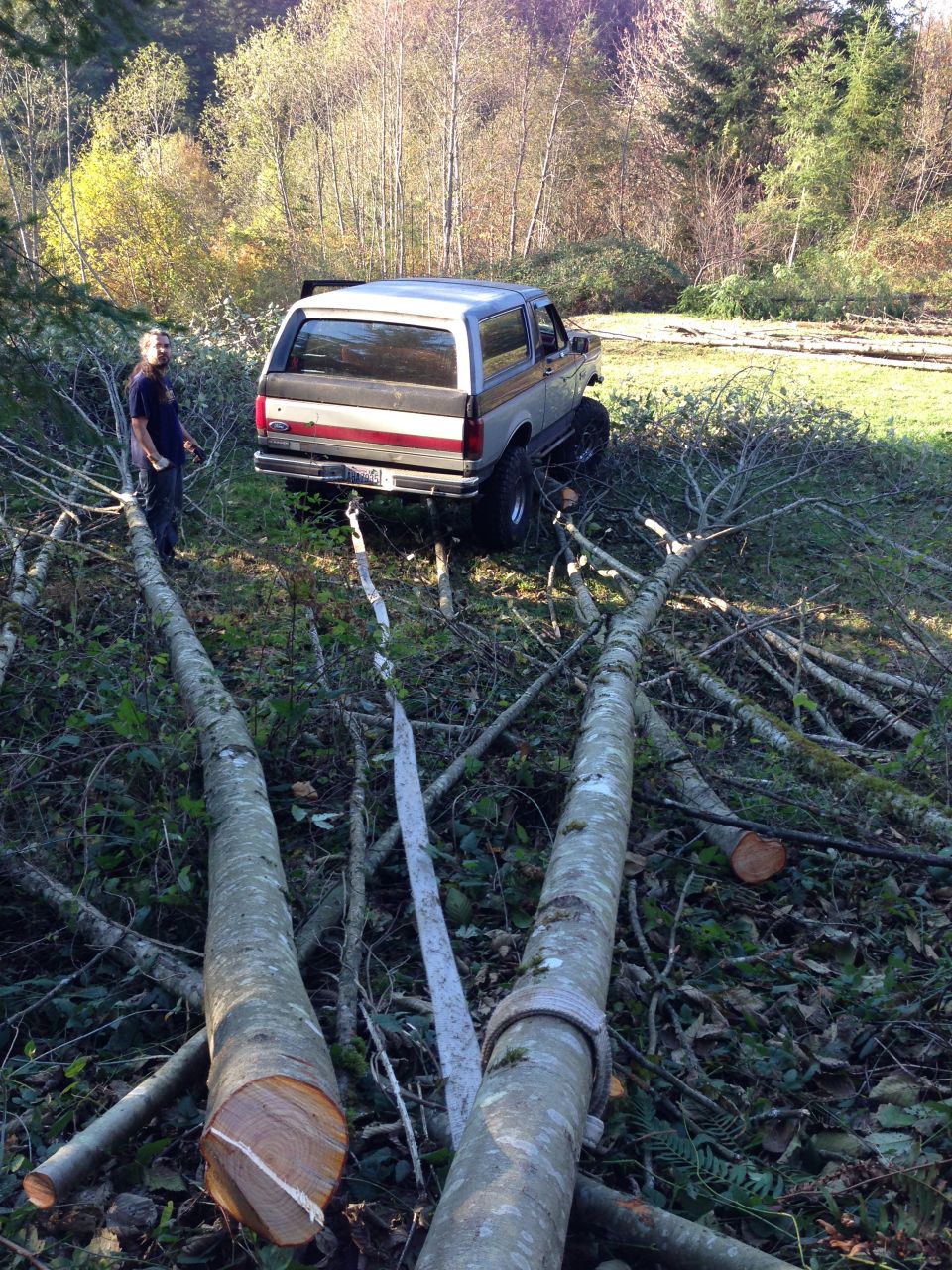 Silver and red Ford Bronco parked in a wooded area with cut trees.