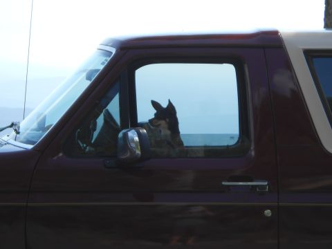 1992 Ford Bronco - Shenandoah NP, Virginia