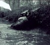 1986 Ford Bronco photo