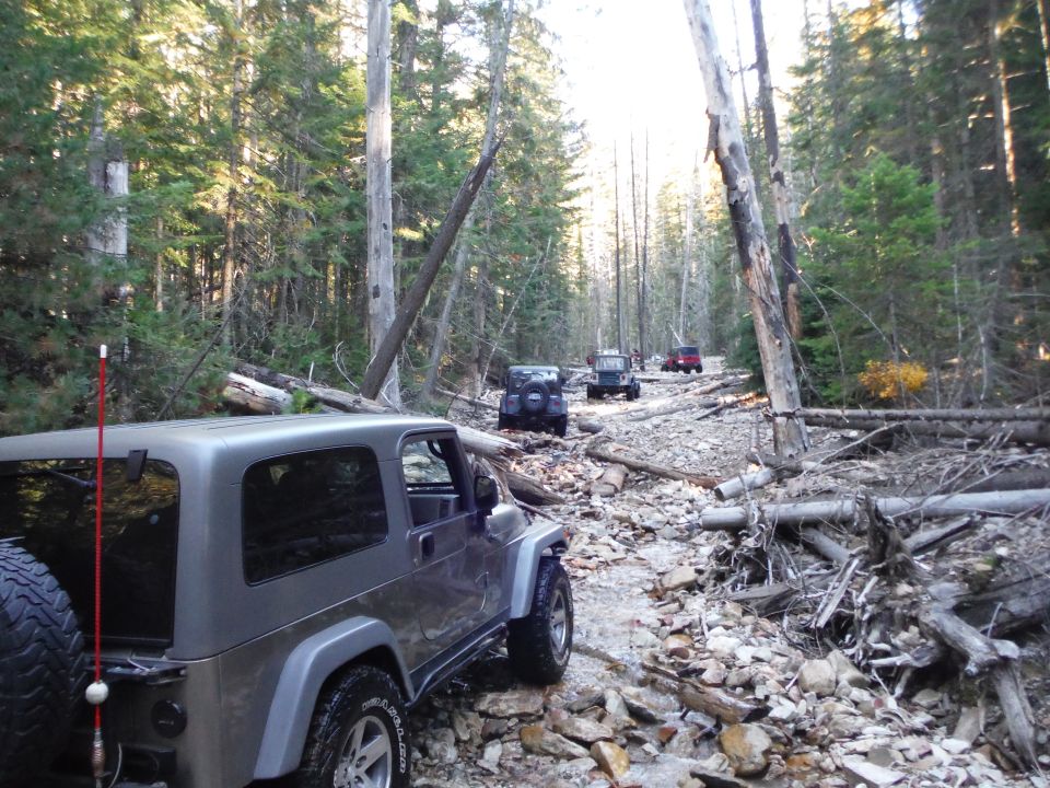 Silver Jeep Wrangler navigating a fallen tree and rocks on a forest road