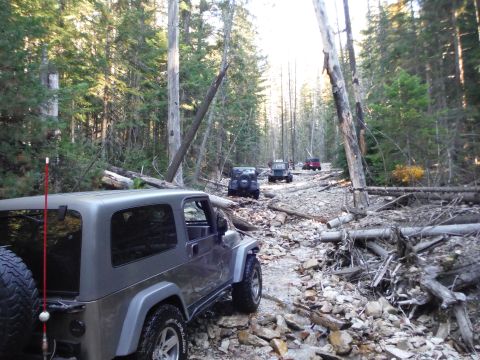 2005 Jeep Wrangler - Several Jeep Wranglers navigate a rough, rocky path through a dense forest with fallen trees.