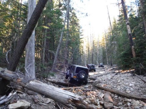 2005 Jeep Wrangler - Multiple 2005 Jeep Wranglers navigate a challenging, rocky trail through a dense forest.