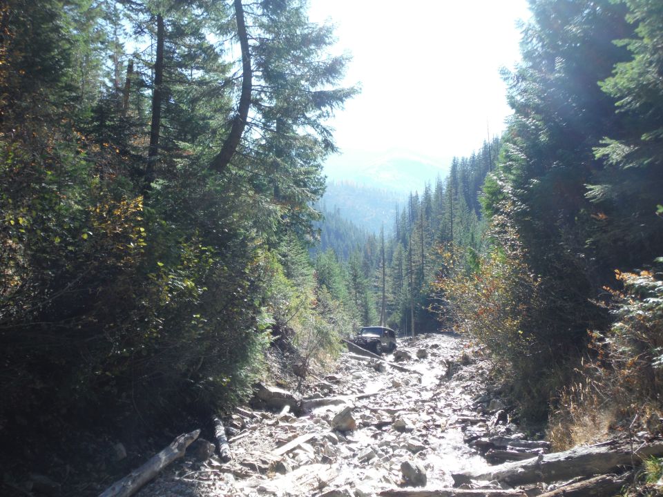 2005 Jeep Wrangler driving on a very rocky, steep mountain trail with dense pine trees on either side