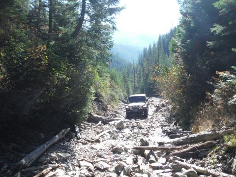 2005 Jeep Wrangler - A Jeep Wrangler navigates a challenging, rocky trail surrounded by dense forest and tall trees.