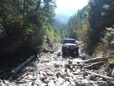 2005 Jeep Wrangler - A 2005 Jeep Wrangler navigates a challenging, rocky path through a dense forest.