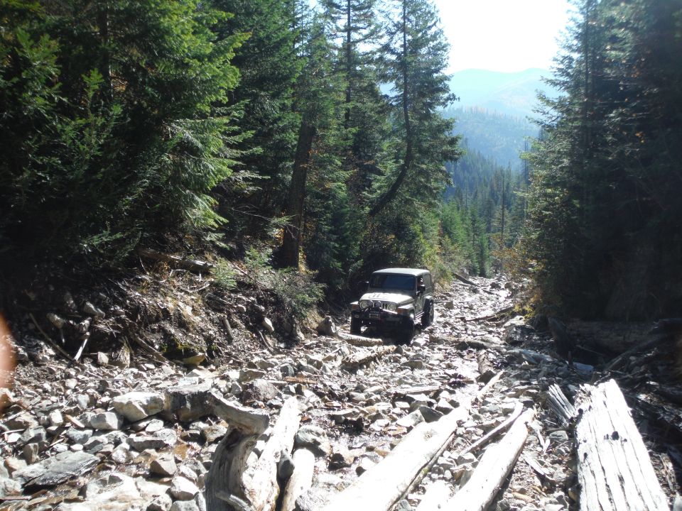 Jeep Wrangler driving on a very rocky, debris-strewn mountain road surrounded by dense pine forest
