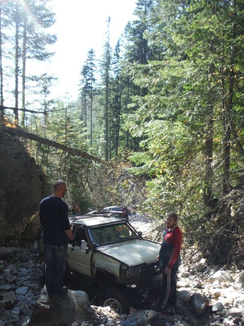 2005 Jeep Wrangler - Several off-road vehicles navigate a challenging, rocky path through a dense forest.