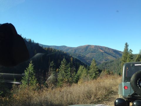 2005 Jeep Wrangler - The rear of a 2005 Jeep Wrangler is visible with its spare tire and taillight, parked on a scenic mountain road.