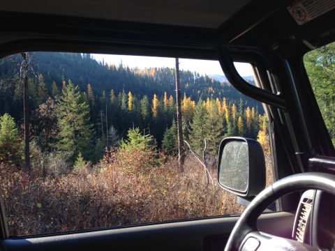 2005 Jeep Wrangler - Looking out the window of a Jeep Wrangler at a forest during autumn.