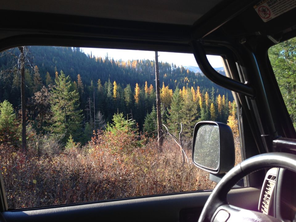 View from inside a Jeep Wrangler looking out at a forest with autumn foliage