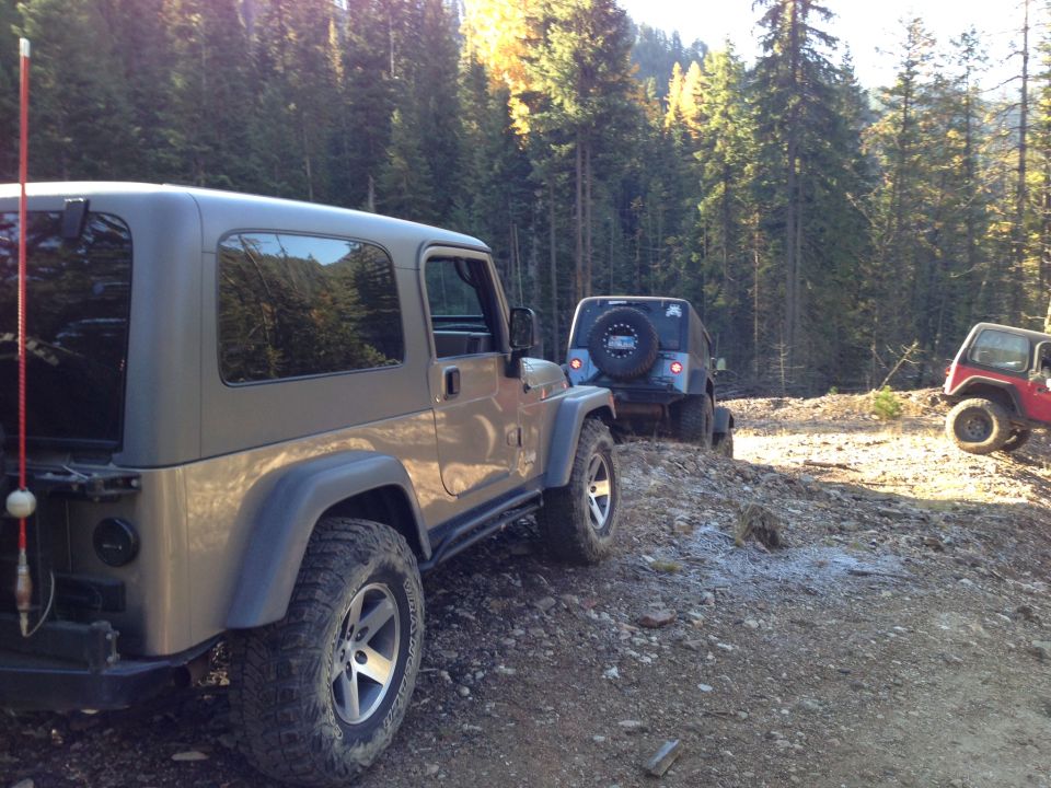 Three Jeep Wranglers driving on a dirt road in a forest. One is in the foreground, facing away