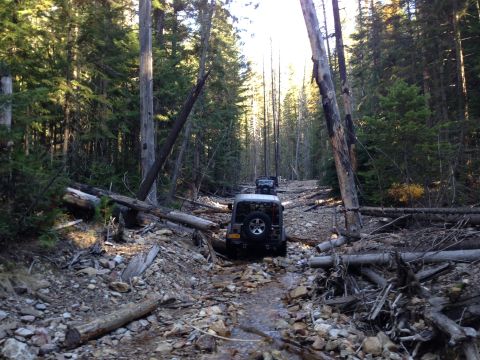 2005 Jeep Wrangler - Multiple Jeep Wranglers navigate a challenging, debris-strewn path through a dense forest.