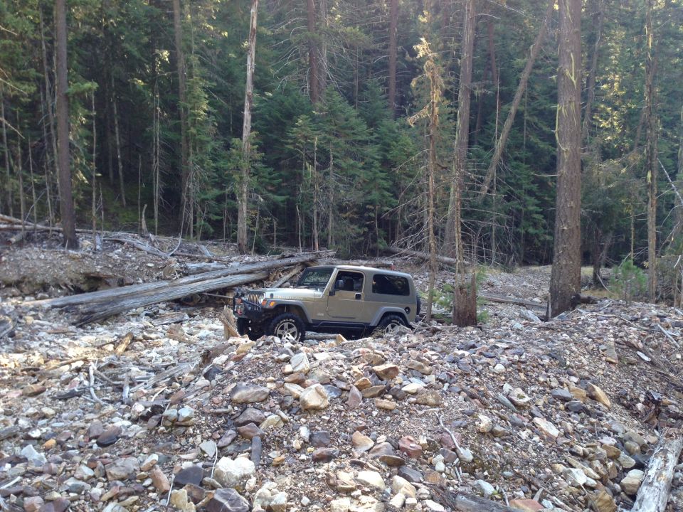 Tan Jeep Wrangler parked on a rocky, wooded slope
