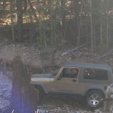 2005 Jeep Wrangler - A 2005 Jeep Wrangler navigates a rough, wooded terrain, demonstrating its off-road capability.