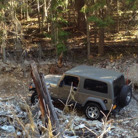 2005 Jeep Wrangler - A Jeep Wrangler navigates a rough, wooded path, kicking up dust and debris.
