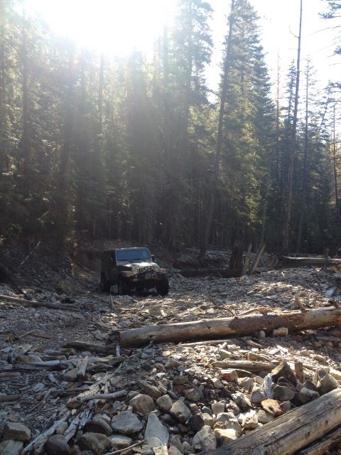 2005 Jeep Wrangler - A dark Jeep Wrangler navigates a rocky, wooded area with fallen logs.