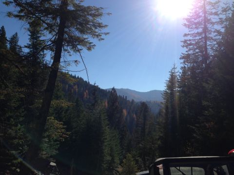 2005 Jeep Wrangler - A bright, sunny day in a mountainous forest scene, viewed from inside a vehicle.