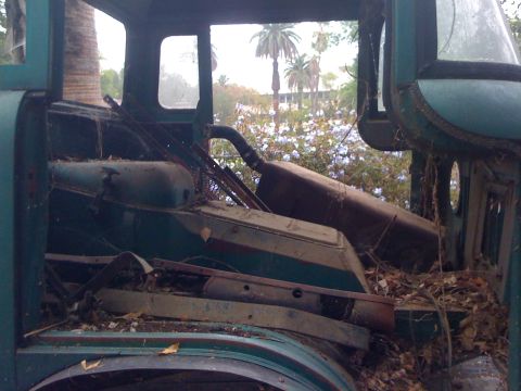 1968 Ford Mustang - The interior of a neglected truck is filled with debris, with a view of palm trees and flowers through the windows.