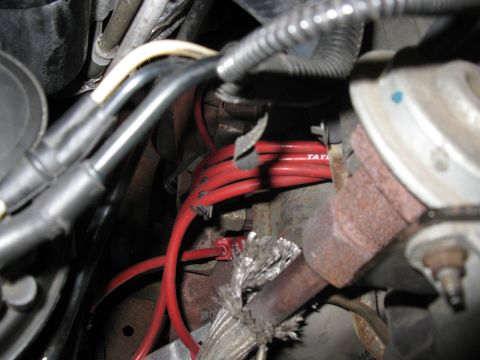 1996 Ford Bronco - Close-up view of red spark plug wires, with partial 'TAYLOR' branding visible on one wire.