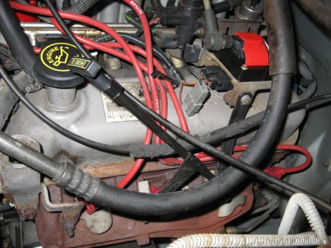 1996 Ford Bronco - Engine bay detail showing spark plug wires and ignition coil assembly.