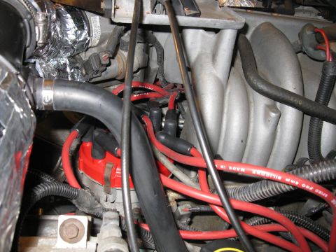 1996 Ford Bronco - Red spark plug wires and distributor cap are visible in this engine compartment detail shot.