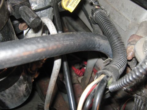 1996 Ford Bronco - A close-up view of various wires and hoses within a vehicle's engine compartment.