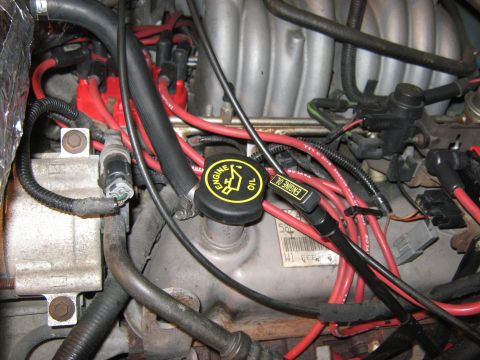 1996 Ford Bronco - Close-up view of engine components, including red spark plug wires and the engine oil cap.