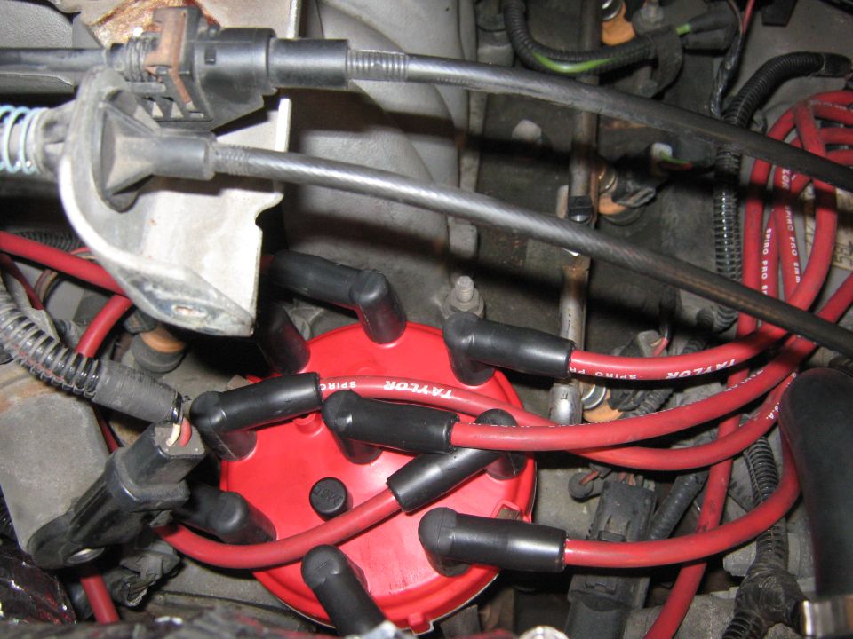 Red Taylor Spark Plug wires connected to a red distributor cap in an engine bay