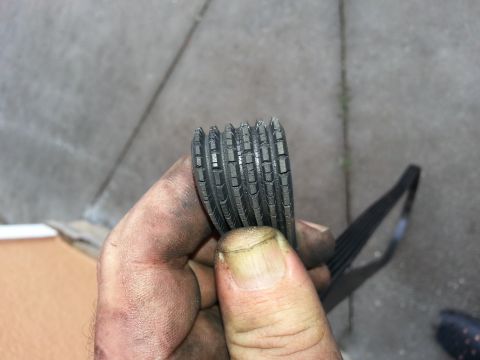 1994 Ford Bronco - A worn serpentine belt is held by a dirty hand, showing the grooves and cracks.