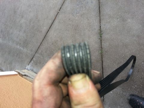 1994 Ford Bronco - A hand holds a ribbed serpentine belt, with the rest of the belt visible in the background.