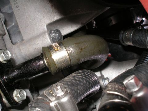 2010 Hyundai Genesis - Engine oil cooler hose connection detail with metal clamps.