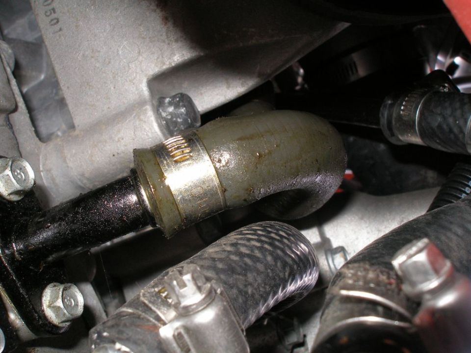 Close-up of an engine oil cooler hose connection with metal clamps