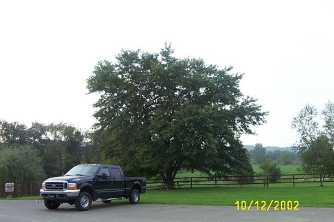 2000 Ford F-250 photo