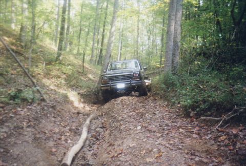 1986 Ford Bronco - ohhh THAT tree!