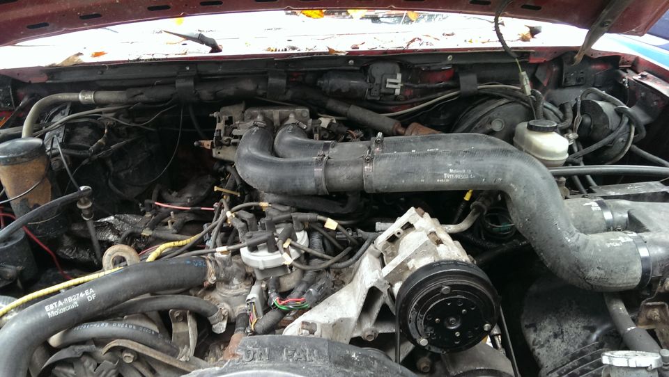 Engine bay with hoses and engine components visible