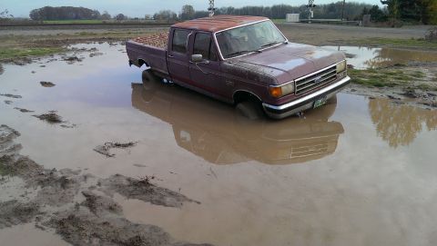 1992 Ford Bronco photo