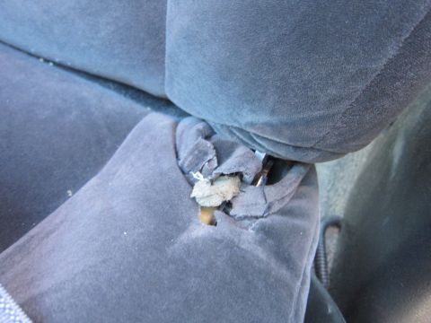 2001 Ford Crown Victoria - Close-up of damaged upholstery on a vehicle's seat, revealing exposed foam.