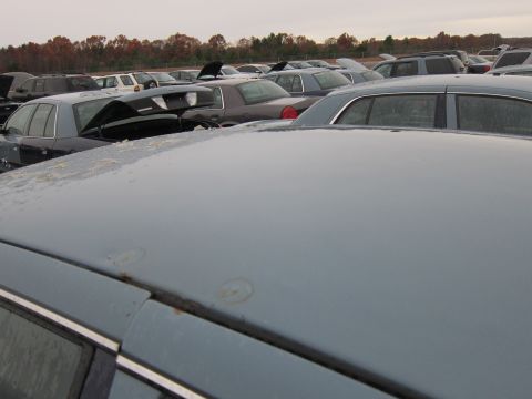 2001 Ford Crown Victoria - A junkyard scene with multiple cars, including a light blue vehicle in the foreground.