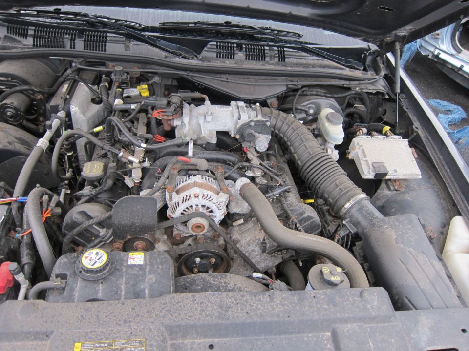engine bay with alternator, intake manifold, and various hoses visible