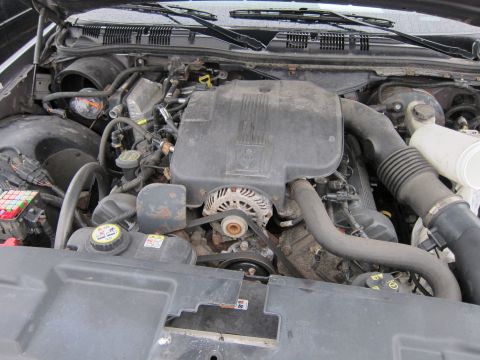 2001 Ford Crown Victoria - Engine bay of a 2001 Ford Crown Victoria, showing the V8 engine and associated components.