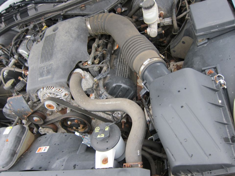 Engine bay with hoses, belts, and air intake components visible