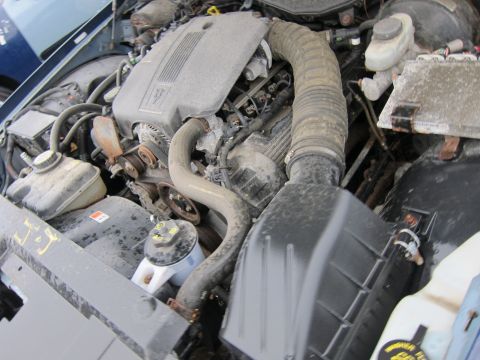 2001 Ford Crown Victoria - Close-up view of a vehicle's engine bay, showing various components and hoses.