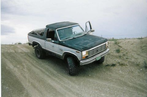 1983 Ford Bronco - Thought it would look cool, Guess I was wrong
